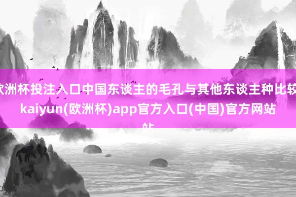 欧洲杯投注入口中国东谈主的毛孔与其他东谈主种比较-kaiyun(欧洲杯)app官方入口(中国)官方网站