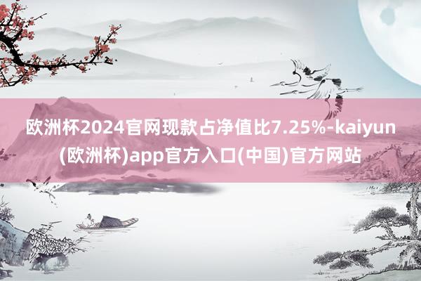 欧洲杯2024官网现款占净值比7.25%-kaiyun(欧洲杯)app官方入口(中国)官方网站