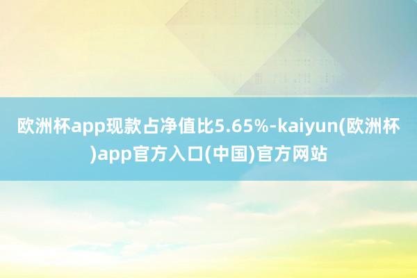 欧洲杯app现款占净值比5.65%-kaiyun(欧洲杯)app官方入口(中国)官方网站