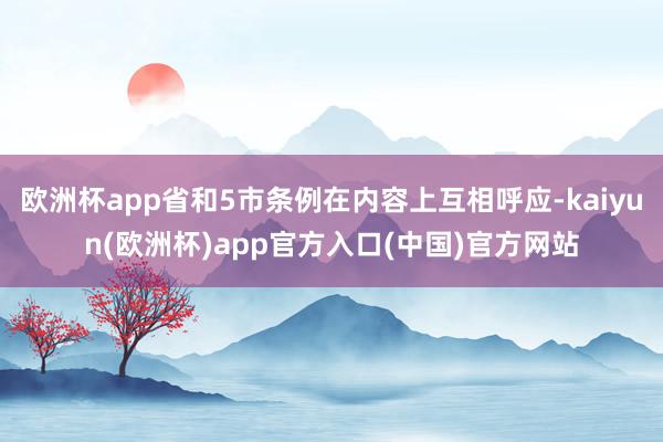 欧洲杯app省和5市条例在内容上互相呼应-kaiyun(欧洲杯)app官方入口(中国)官方网站