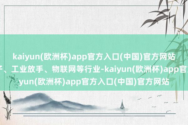 kaiyun(欧洲杯)app官方入口(中国)官方网站更无为驾驭于汽车电子、工业放手、物联网等行业-kaiyun(欧洲杯)app官方入口(中国)官方网站