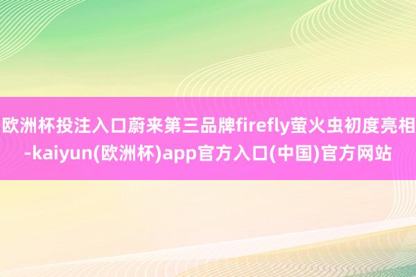 欧洲杯投注入口蔚来第三品牌firefly萤火虫初度亮相-kaiyun(欧洲杯)app官方入口(中国)官方网站