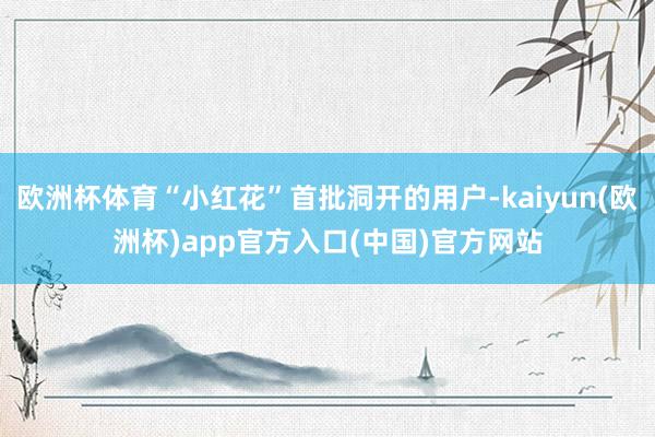 欧洲杯体育“小红花”首批洞开的用户-kaiyun(欧洲杯)app官方入口(中国)官方网站