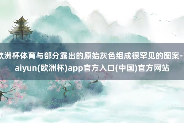 欧洲杯体育与部分露出的原始灰色组成很罕见的图案-kaiyun(欧洲杯)app官方入口(中国)官方网站