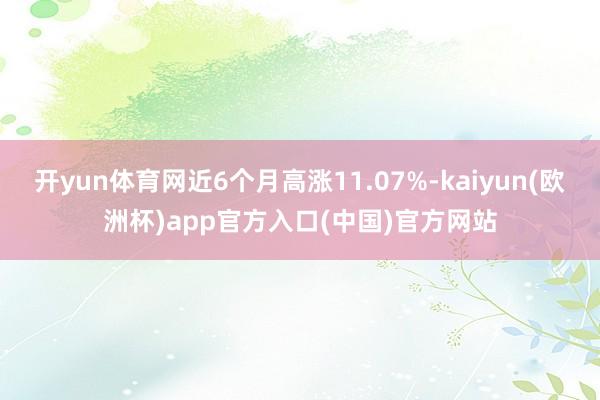 开yun体育网近6个月高涨11.07%-kaiyun(欧洲杯)app官方入口(中国)官方网站